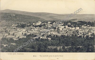 Carte postale ancienne Vue partielle prise du fortin Nord — Fez — Maroc
