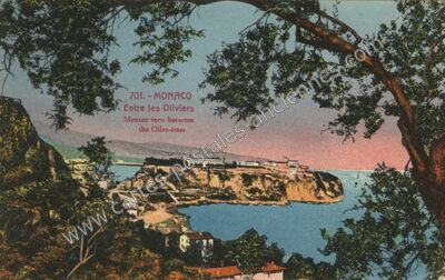 Carte postale ancienne Entre les Oliviers — Monaco — Monaco