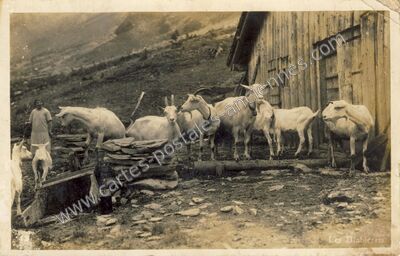 Carte postale ancienne Les diablerets