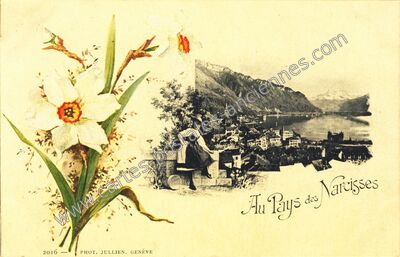 Carte postale ancienne Pays des Narcisses