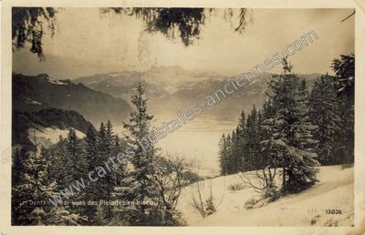 Carte postale ancienne Pleiades