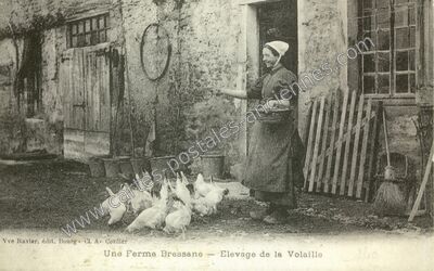 Carte postale ancienne Ferme Bressane — Non Localisée (Ain)