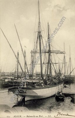 Carte postale ancienne Balancelle au Port — Alger — Algérie