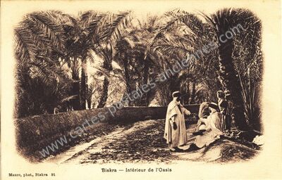 Carte postale ancienne Intérieur de l'Oasis — Biskra — Algérie
