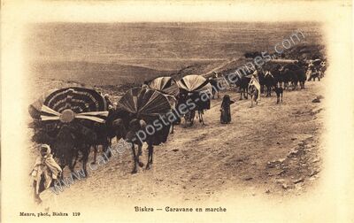Carte postale ancienne Caravane en marche — Biskra — Algérie
