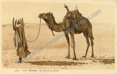 Carte postale ancienne La Prière au désert — Biskra — Algérie