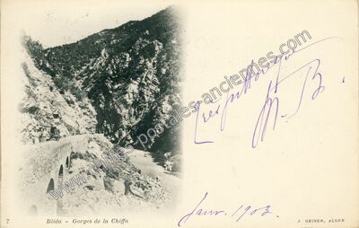 Carte postale ancienne Gorges de la Chiffa — Blida — Algérie