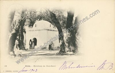Carte postale ancienne Marabout du Bois-Sacré — Blida — Algérie