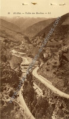 Carte postale ancienne Vallée des Moulins — Blida — Algérie