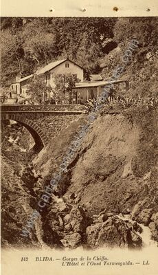 Carte postale ancienne Gorges de la Chiffa. L'Hôtel et l'Oued Tarmesguida — Blida — Algérie