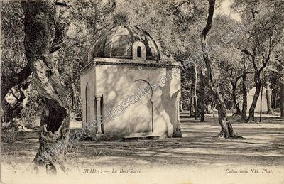 Carte postale ancienne Le Bois-Sacré — Blida — Algérie