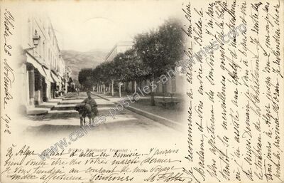 Carte postale ancienne Boulevard Trumelet — Blida — Algérie