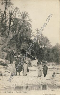Carte postale ancienne Dans la rivière — Bou Saada — Algérie