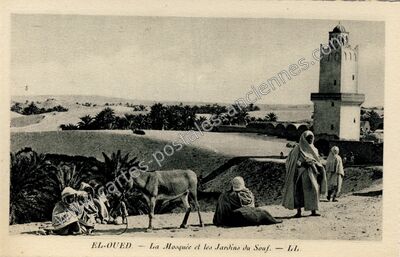 Carte postale ancienne La Mosquée et les Jardins du Souf — El Oued — Algérie