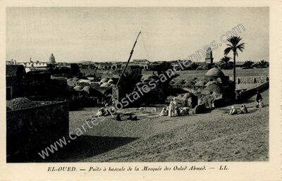 Carte postale ancienne Puits à bascule de la Mosquée des Ouled Abmed — El Oued — Algérie
