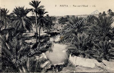 Carte postale ancienne Vue sur l'Oued — Nefta — Algérie