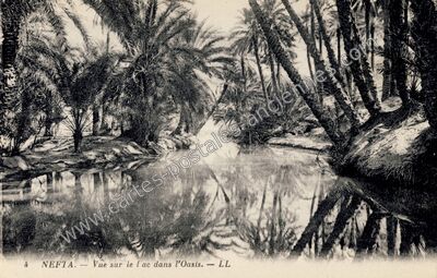 Carte postale ancienne Vue sur le lac dans l'Oasis — Nefta — Algérie