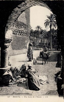Carte postale ancienne Un Coin de l'Oasis — Nefta — Algérie