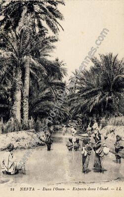 Carte postale ancienne Enfants dans l'Oasis — Nefta — Algérie