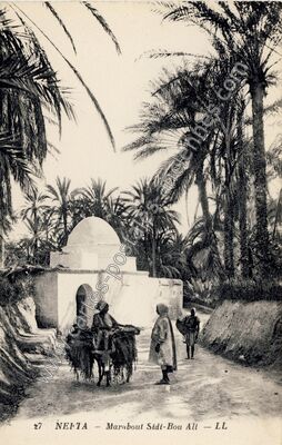 Carte postale ancienne Marabout Sidi-Bou Ali — Nefta — Algérie