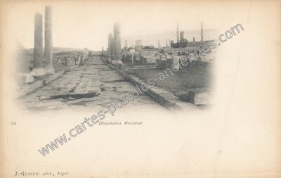 Carte postale ancienne Décumanus Maximus — Timgad — Algérie