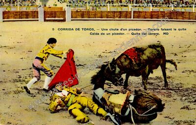 Carte postale ancienne Une chute d'un picador. — Torero faisant le quite — Corrida — Espagne