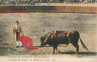 Carte postale ancienne Après l'estocade — Corrida — Espagne