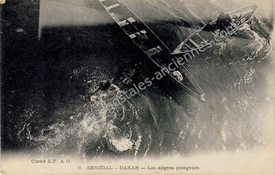 Carte postale ancienne Les nègres plongeurs — Dakar — Sénégal