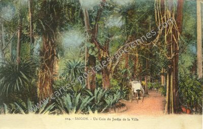Carte postale ancienne Un Coin du Jardin de la Ville — Saigon — Viet-Nam