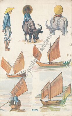 Carte postale ancienne REGNAULT SARASIN — Types — Viet-Nam