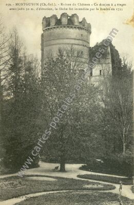 Carte postale ancienne Ruines du Château - Ce donjon à 4 étages avait jadis 50 m — Montguyon (Charente-Maritime)