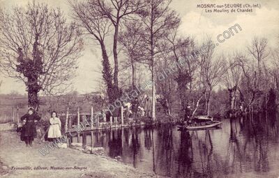 Carte postale ancienne Mosnac sur Seugne — Mosnac (Charente-Maritime)