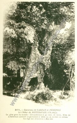 Carte postale ancienne Environs de VARZAY et PESSINES Le Chêne de MONTRAVAIL — Pessines (Charente-Maritime)