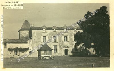 Carte postale ancienne Le Fief GALLET — Pessines (Charente-Maritime)