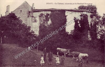 Carte postale ancienne Chateau de Pisany — Pisany (Charente-Maritime)
