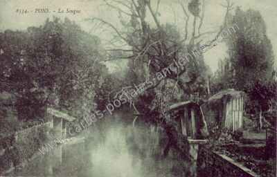Carte postale ancienne La Seugne — Pons (Charente-Maritime)