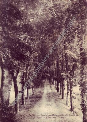 Carte postale ancienne Ecole professionnelle de Garçons. Le Parc. - Allée des Tilleuls — Pons (Charente-Maritime)