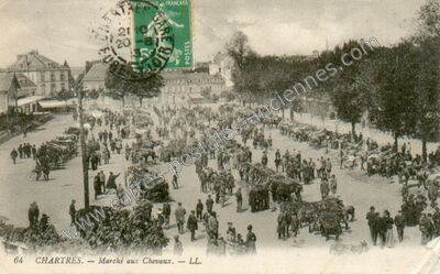 Carte postale ancienne Marché aux Chevaux — Chartres (Eure-et-Loir)