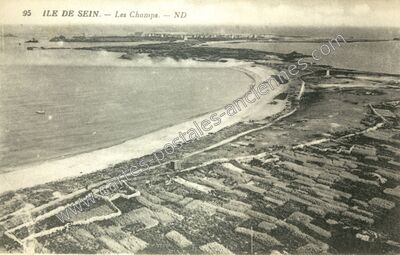 Carte postale ancienne Les Champs — Île-de-Sein (Finistère)