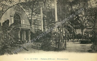 Carte postale ancienne Palais d'Hiver - Palmarium — Pau (Pyrénées-Atlantiques)