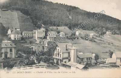 Carte postale ancienne Chalets et Villas vus du Casino — Mont-Dore (Puy-de-Dôme)