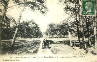 Carte postale ancienne Foret du Gavre — Le Gâvre (Loire-Atlantique)