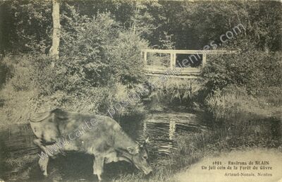 Carte postale ancienne Foret du Gavre — Le Gâvre (Loire-Atlantique)