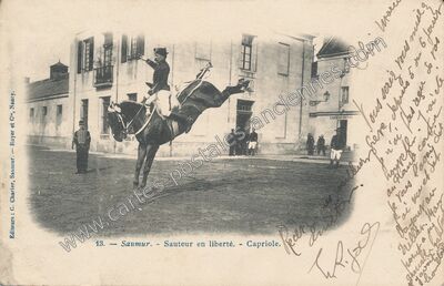 Carte postale ancienne Sauteur en liberté. - Capriole — Saumur (Maine-et-Loire)