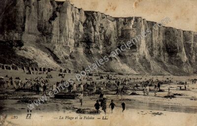 Carte postale ancienne La Plage et la Falaise — Le Tréport (Seine-Maritime)