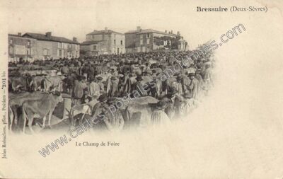 Carte postale ancienne Le Champ de Foire — Bressuire (Deux-Sèvres)