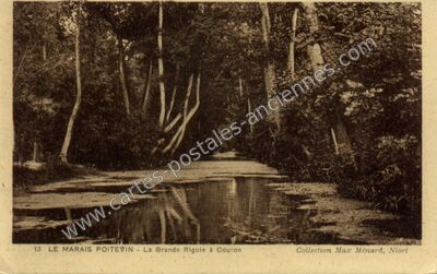Carte postale ancienne Le Marais Poitevin - La Grande Rigole — Coulon (Deux-Sèvres)