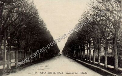 Carte postale ancienne Avenue des Tilleuls — Chatou (Yvelines)