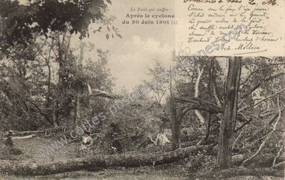 Carte postale ancienne Bois de Boulogne — Paris 16e (Paris)