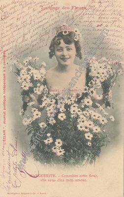 Carte postale ancienne Marguerite — Langage des Fleurs — Fantaisie